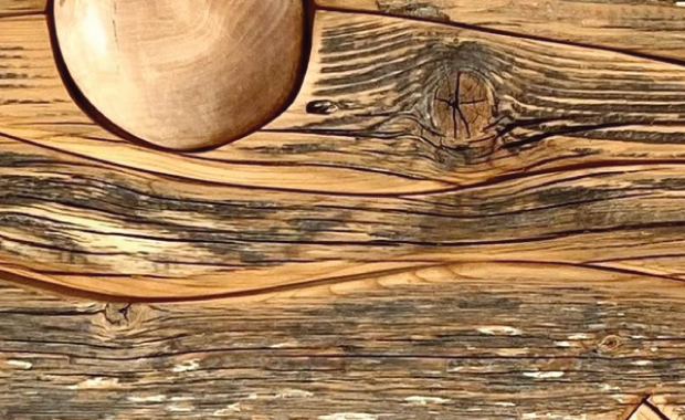 Unveiling Creativity in Functional Decor